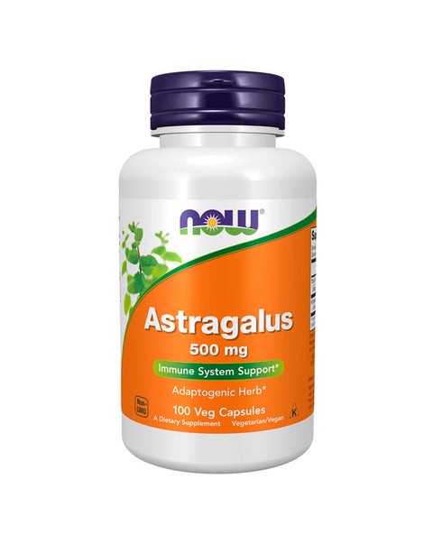 Astragalus 500mg - 100 Cápsulas - Now Foods